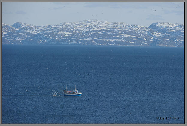 Fischerboot auf dem Varangerfjord